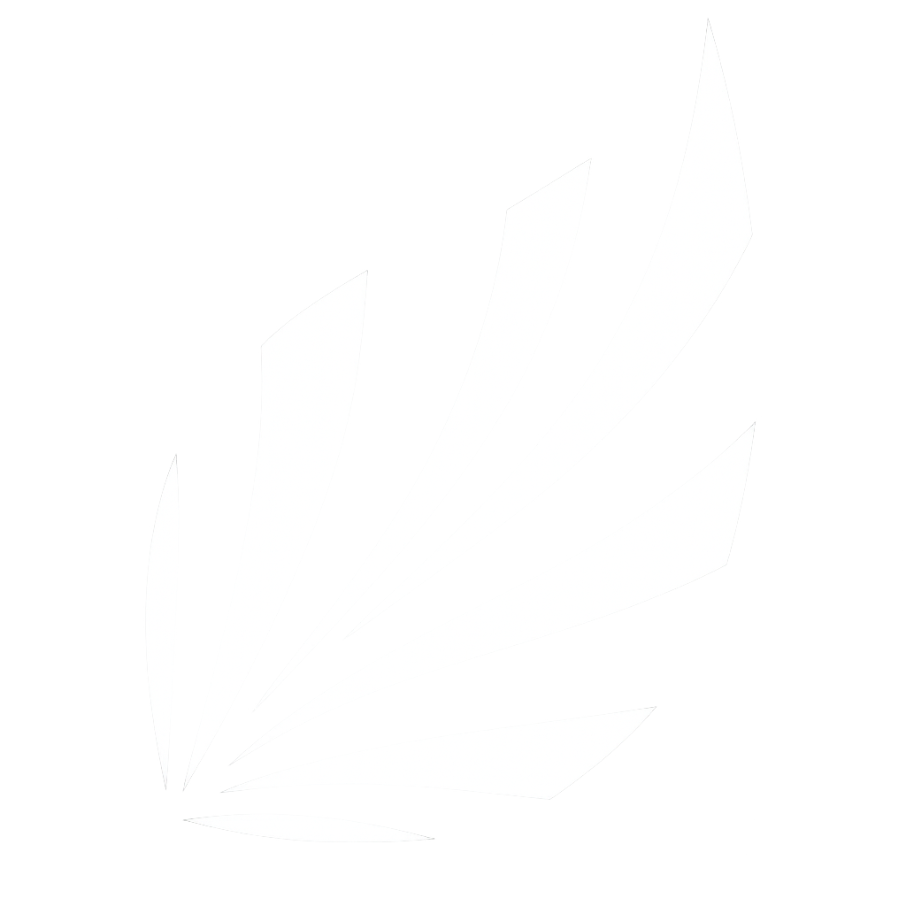 PhotoDisk Logo